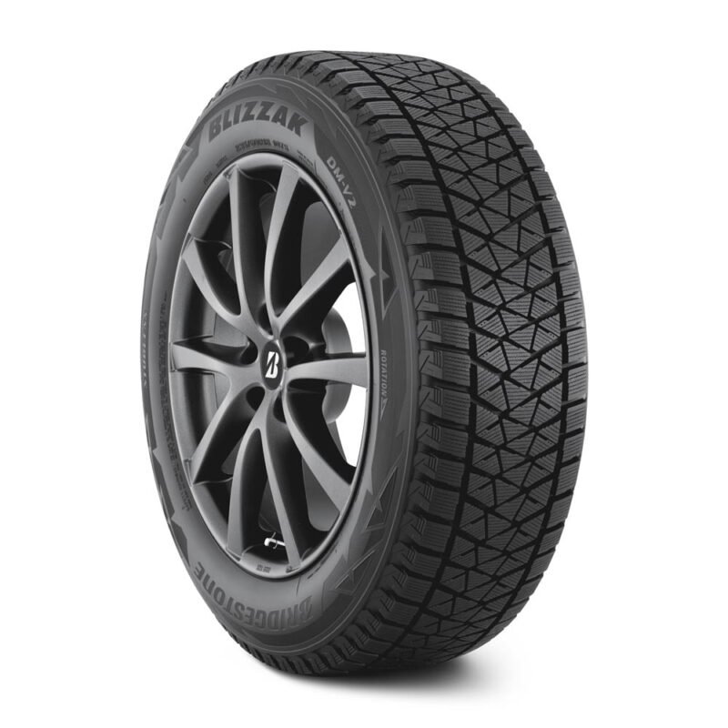 Blizzak DM-V2 - 255/55R19 111T